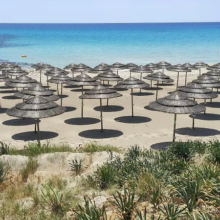 Narcissos 'nissi Beach' C3 Lägenhet Ayia Napa